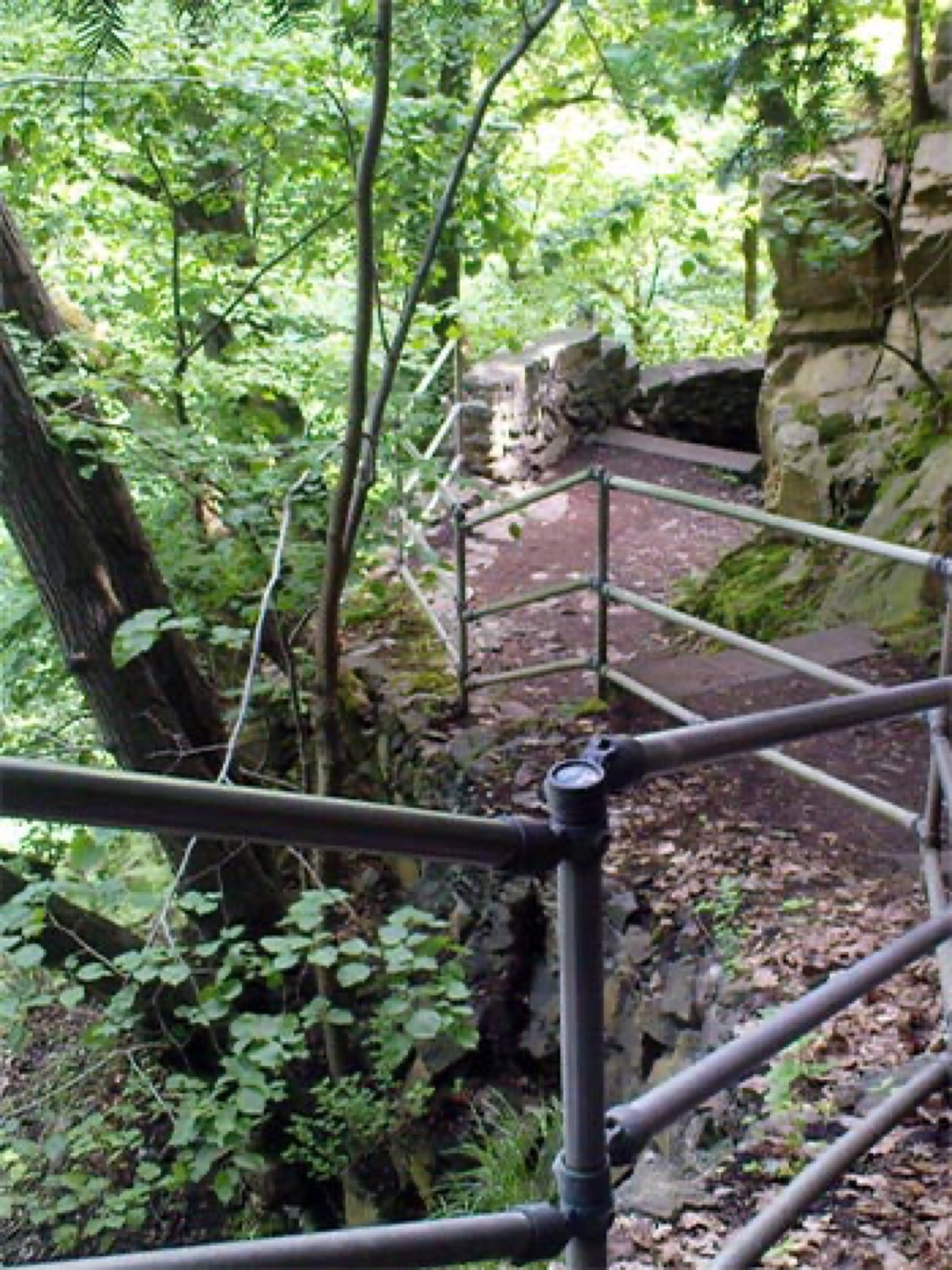 Ein malerischer Weg im Wald des Bodetals