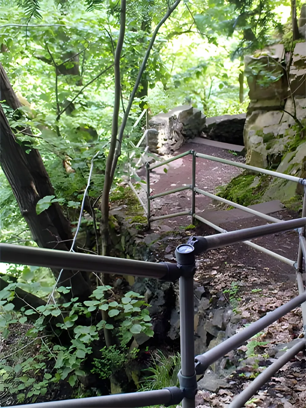 Ein malerischer Weg im Wald des Bodetals